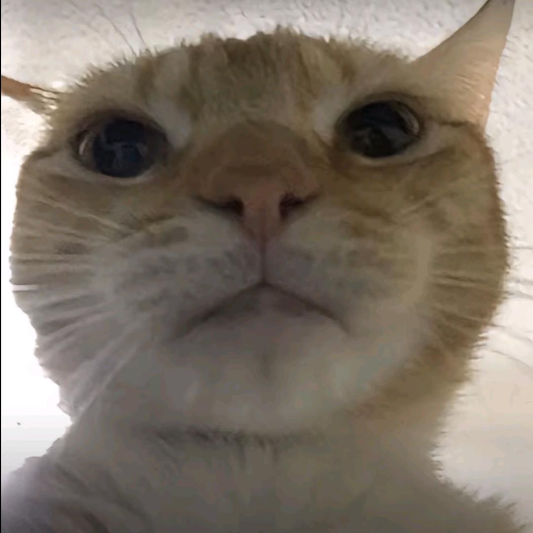 ss，