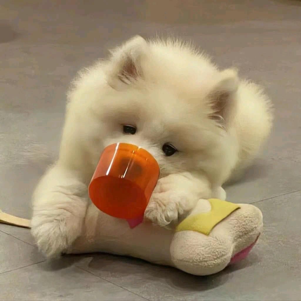 我是一只史莱姆