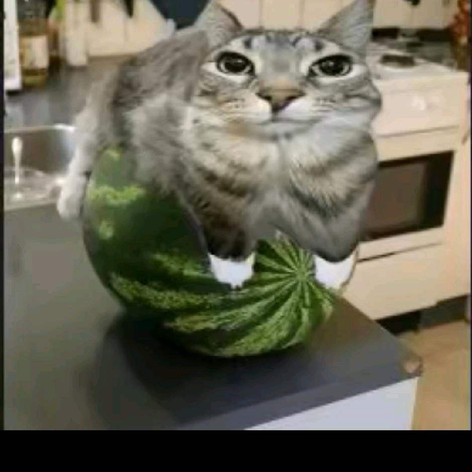 小雾神
