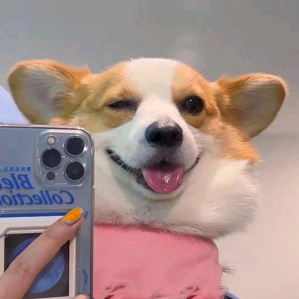 苏打慢生活