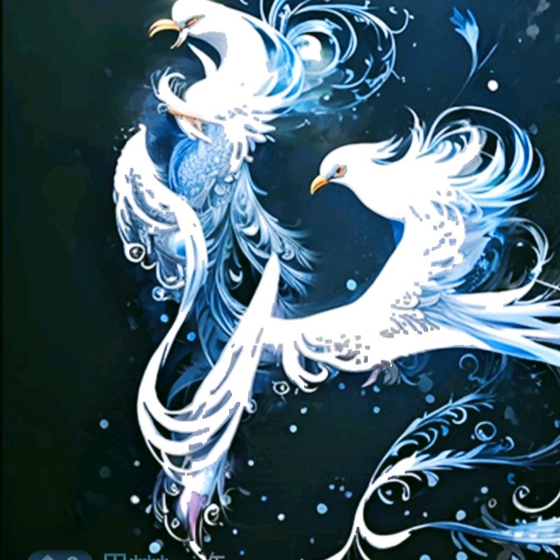 鑫鸿源护栏安装公司