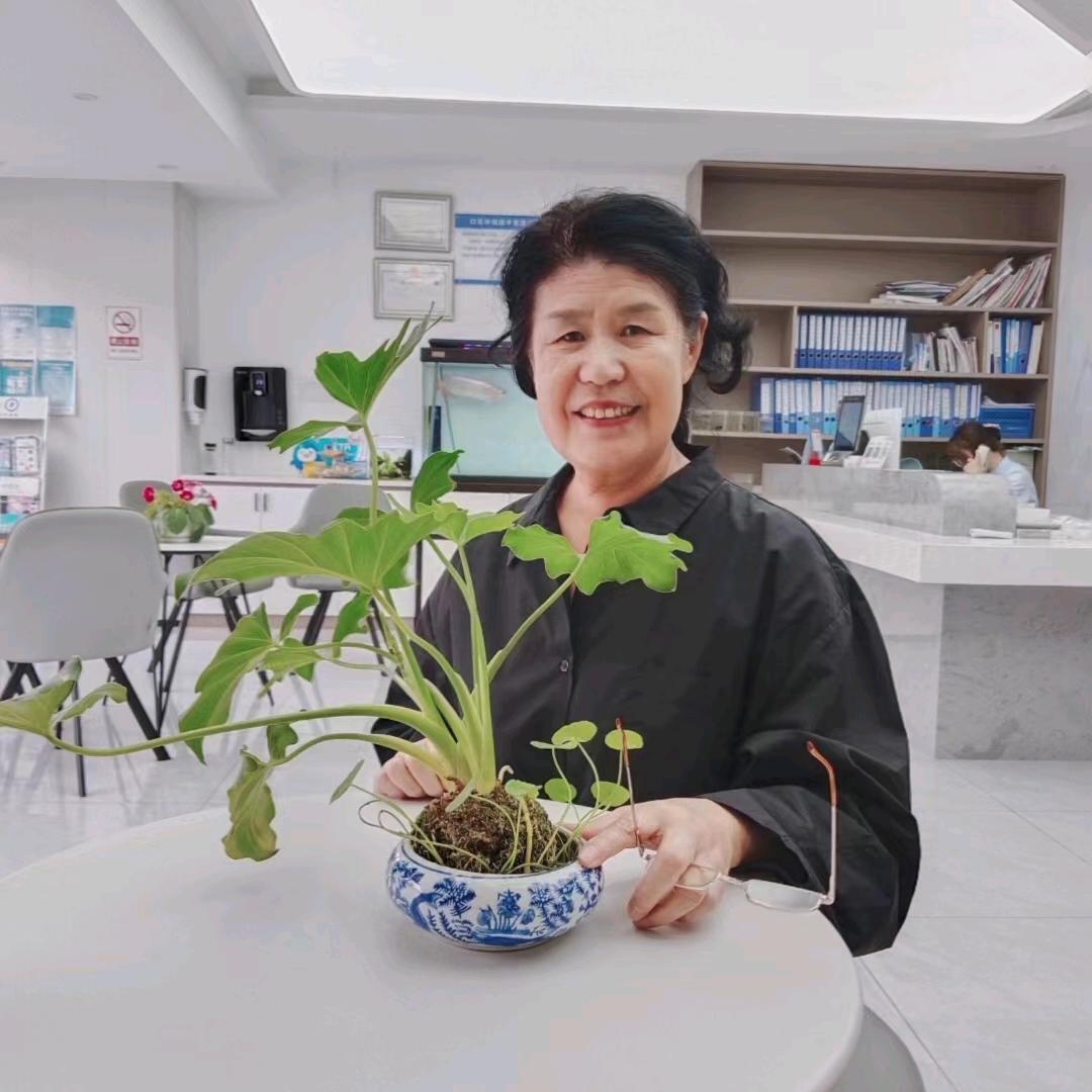 于美美