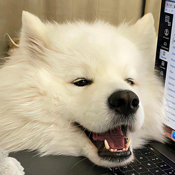 点点不乖