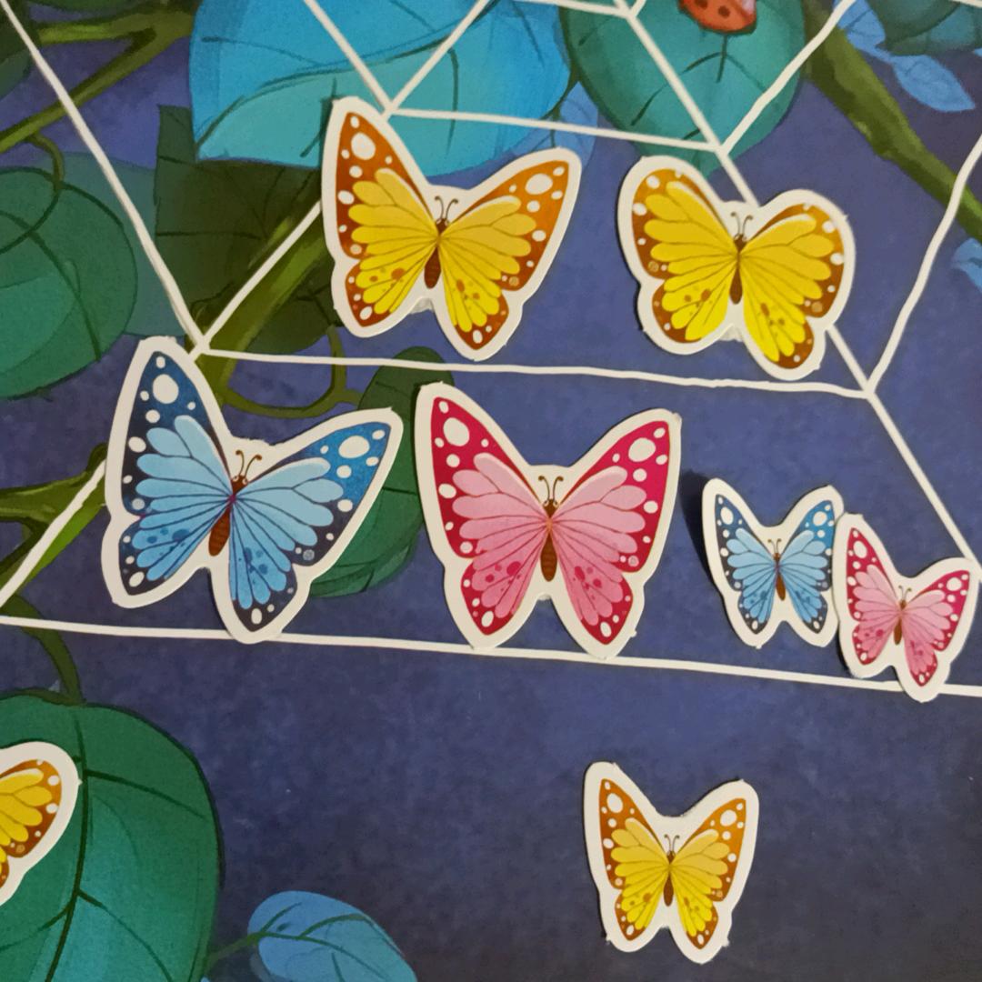 🌈般若波罗蜜🌈