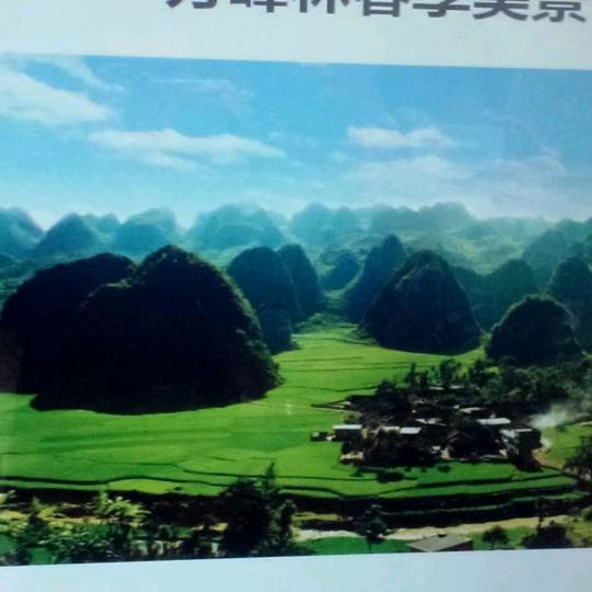 蒲公英PUJEANG637437