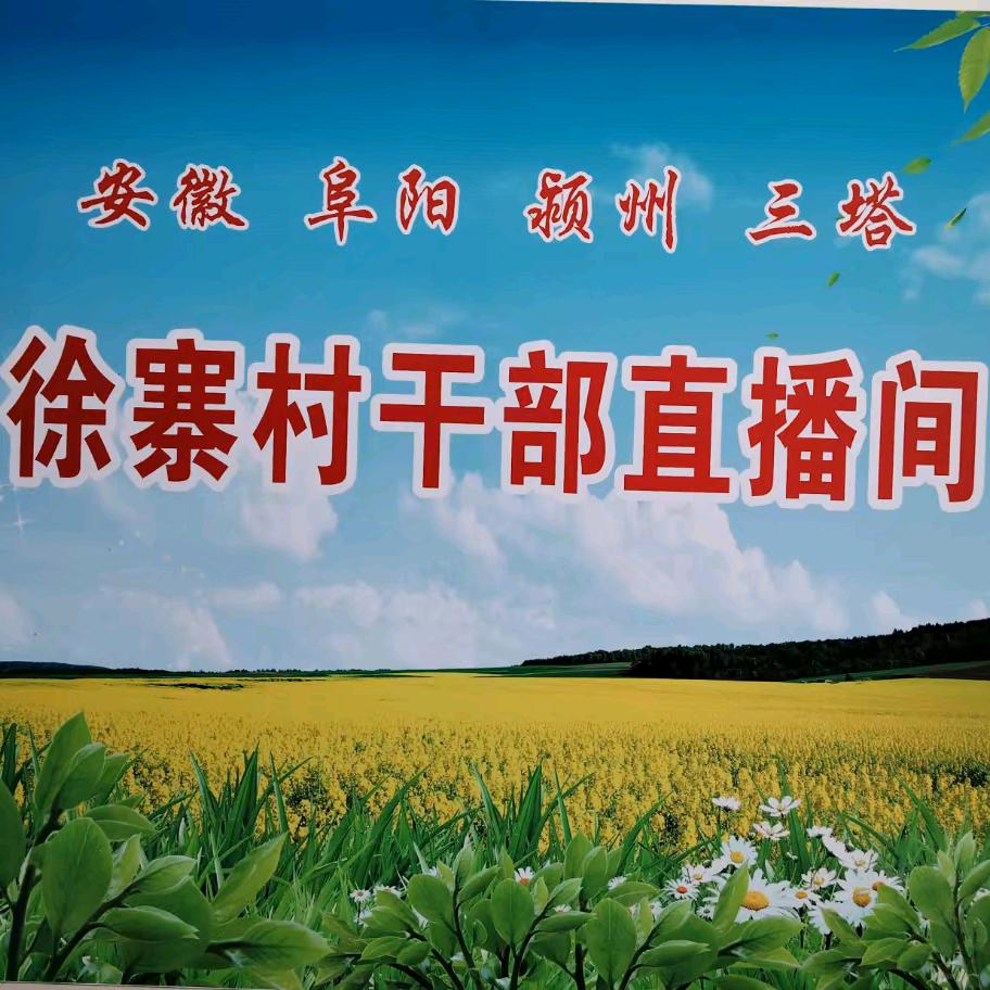 徐寨村干部直播间