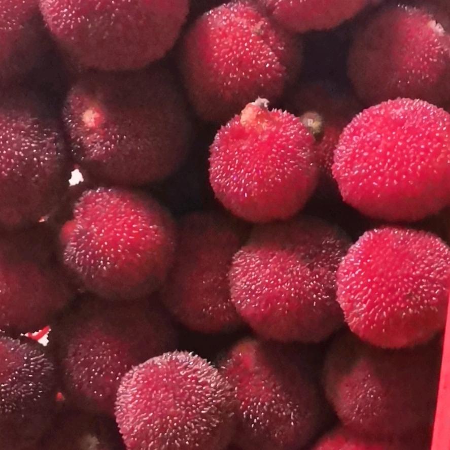 人在囧途 感悟人生