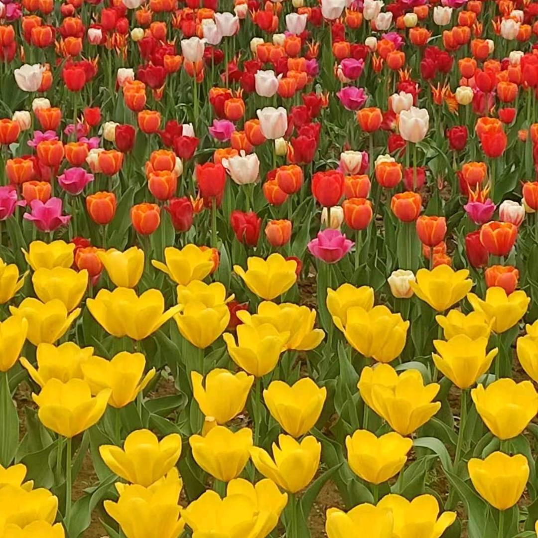 回忆拒绝合拍。