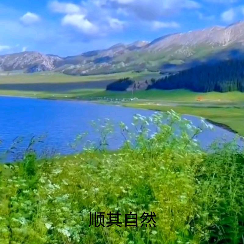 顺其自然