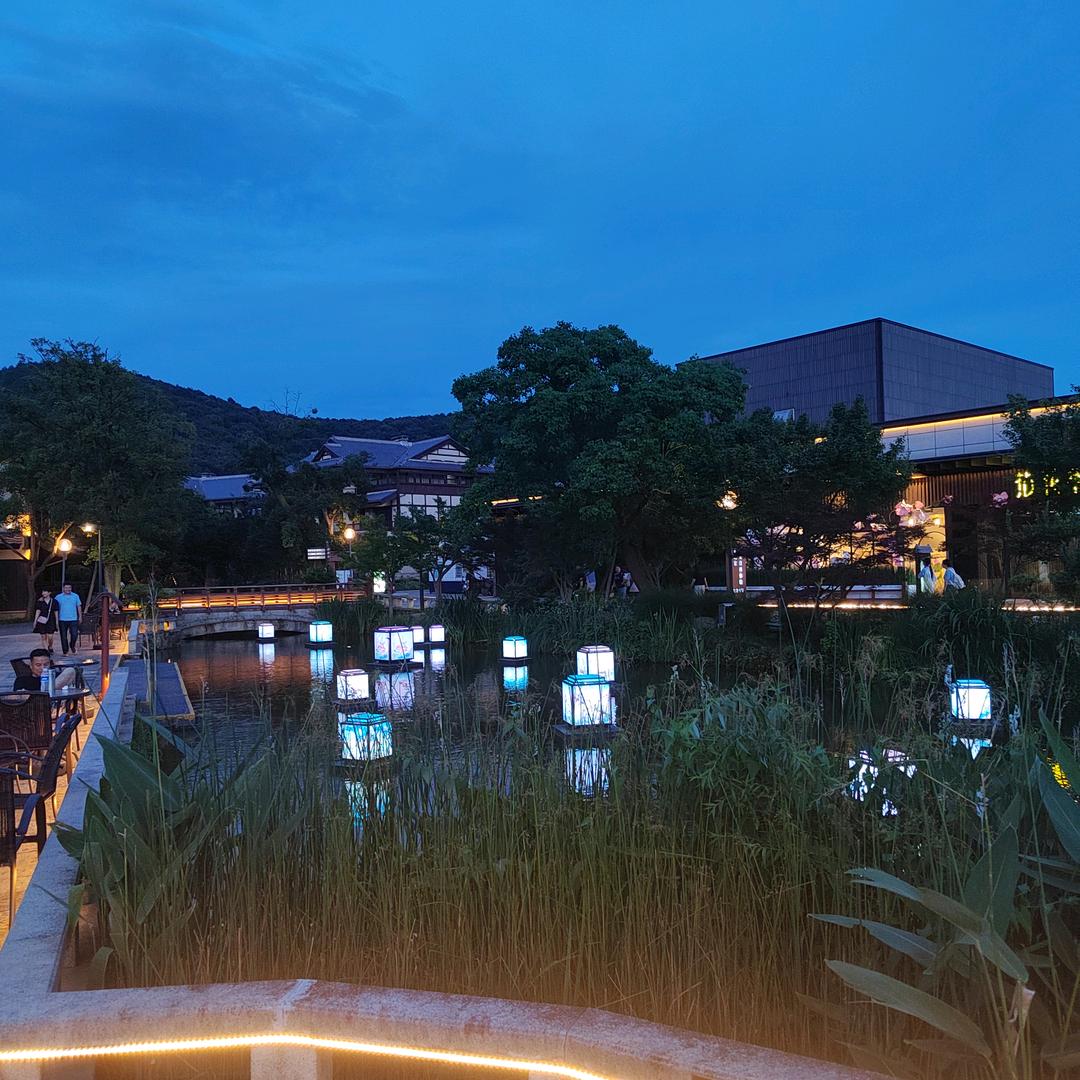 又菜又爱玩的老王