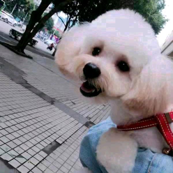 ❤️柳亮❤️（手机摄影）