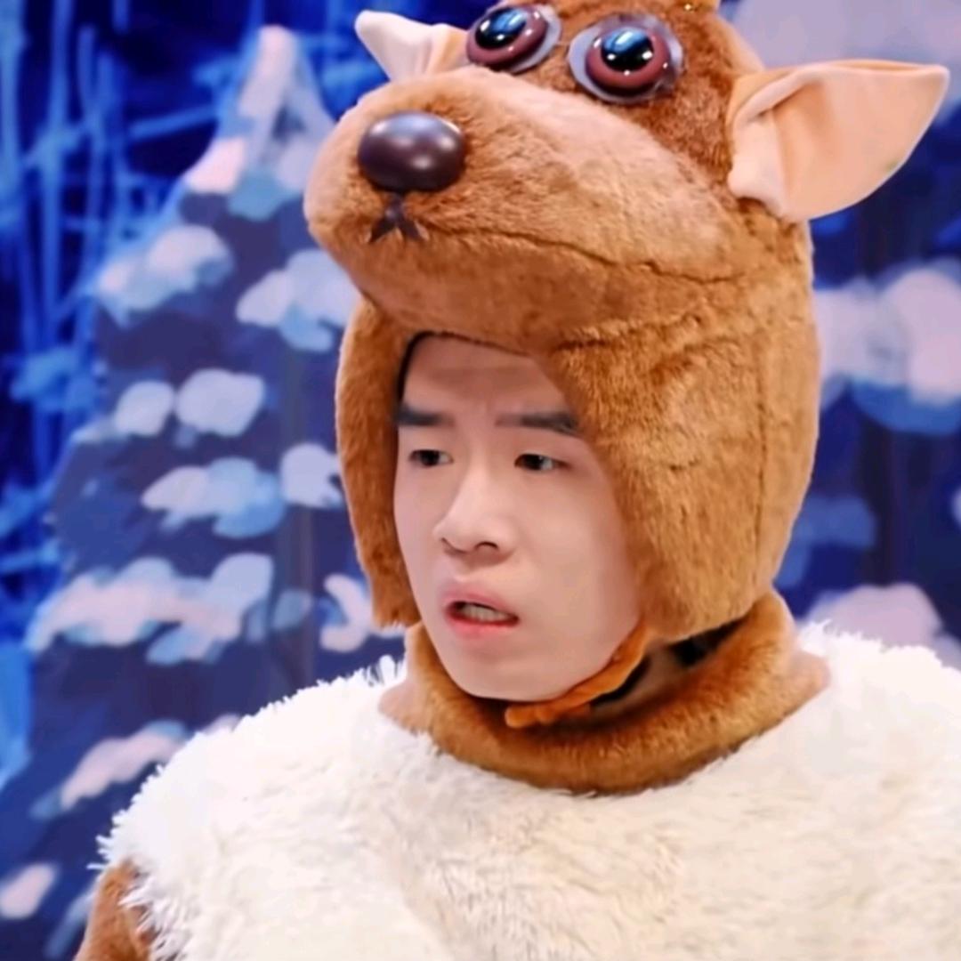 wuli汪汪🐶