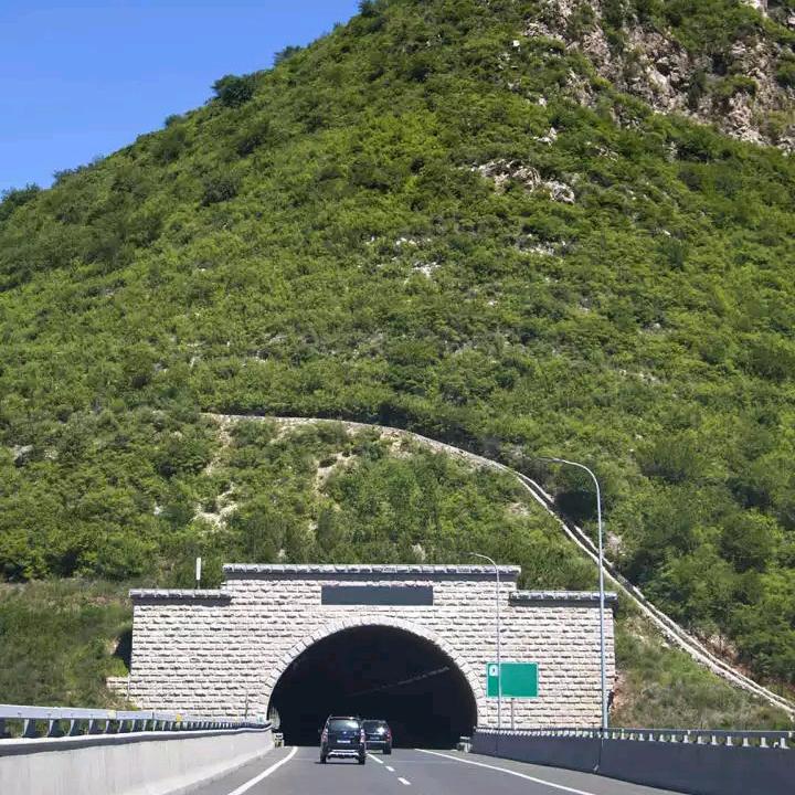 临泽首富