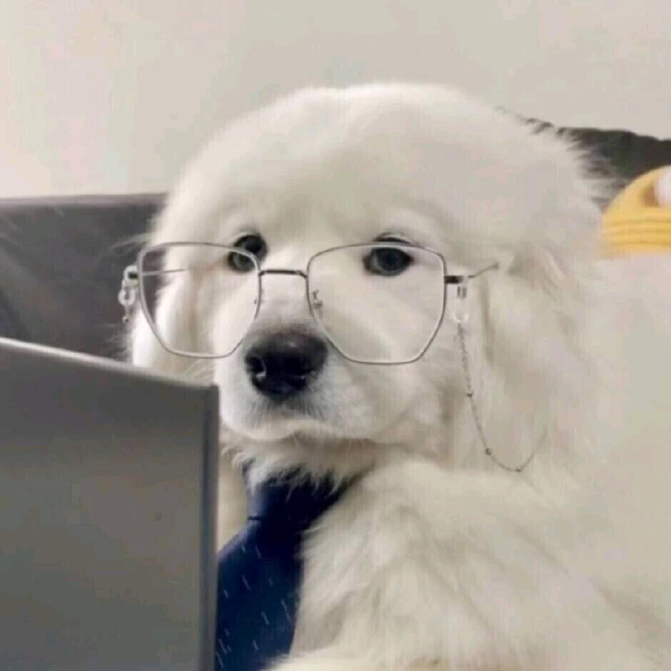 湯豪傑QQ