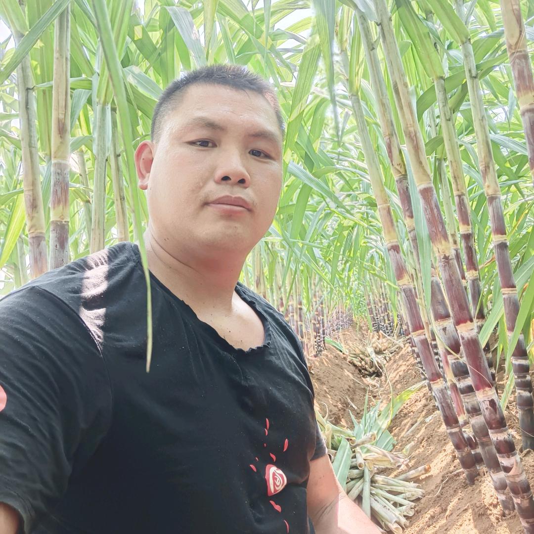 博信（海南）农业发展有限责任公司