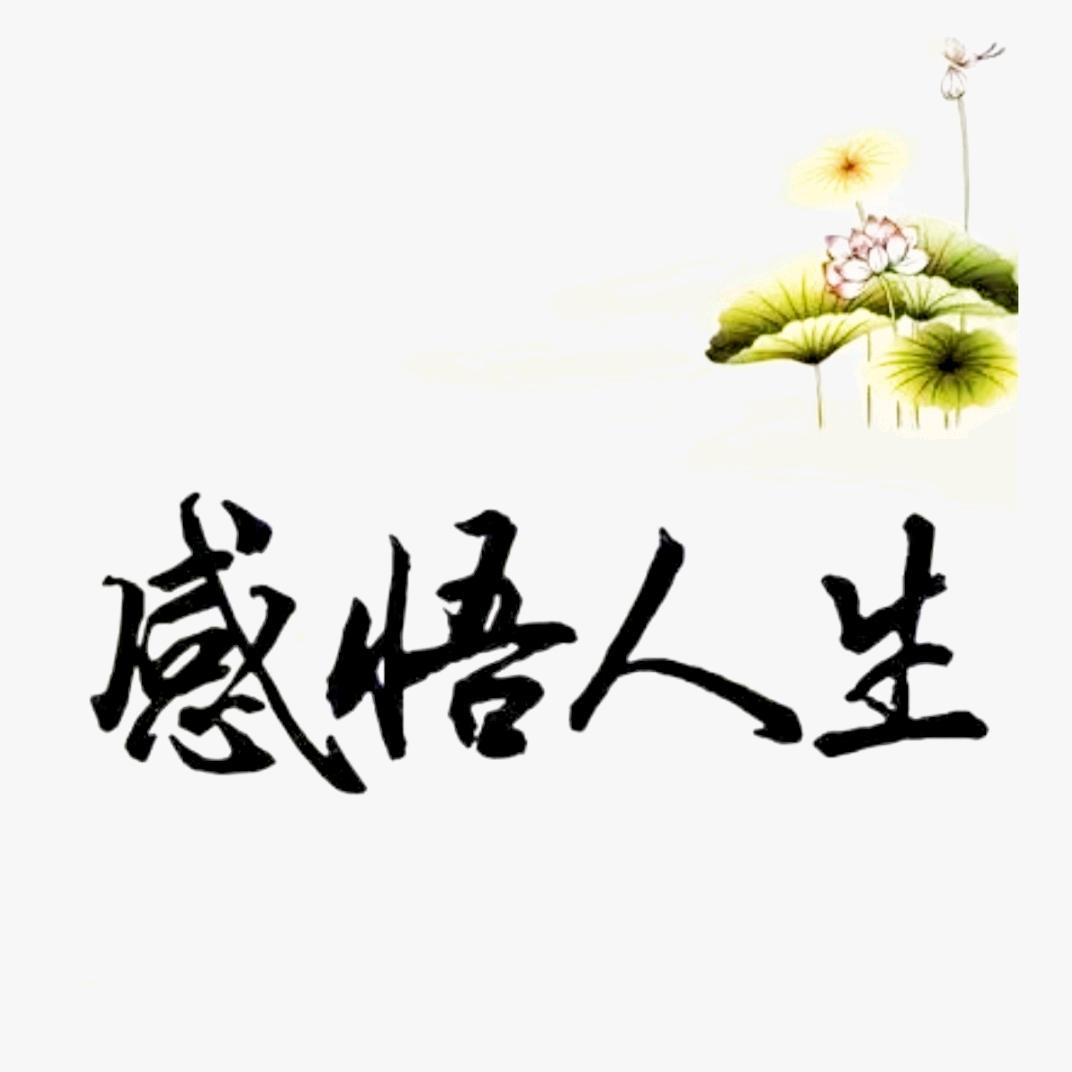 感悟人生