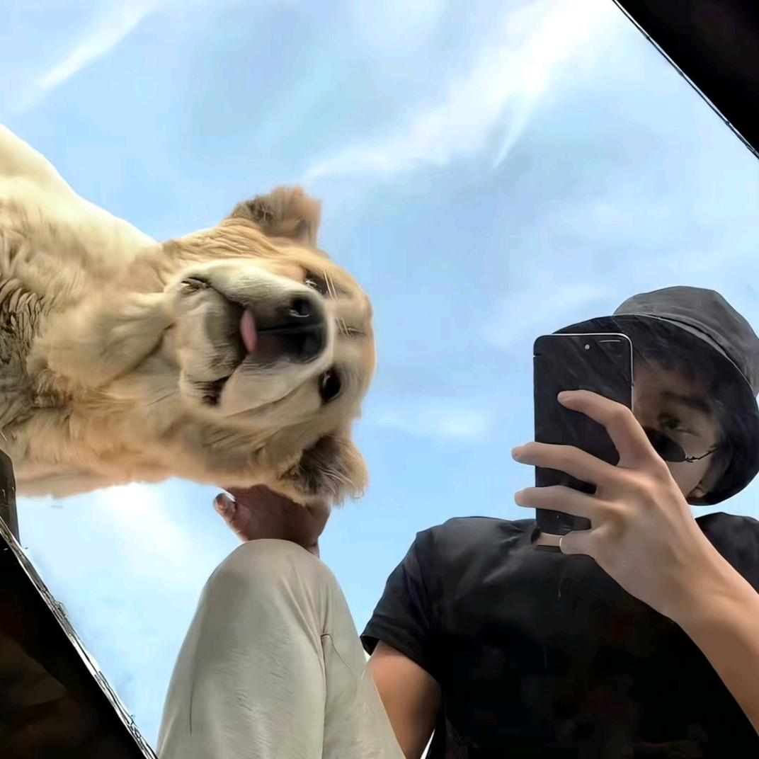 心有所属，一生有你