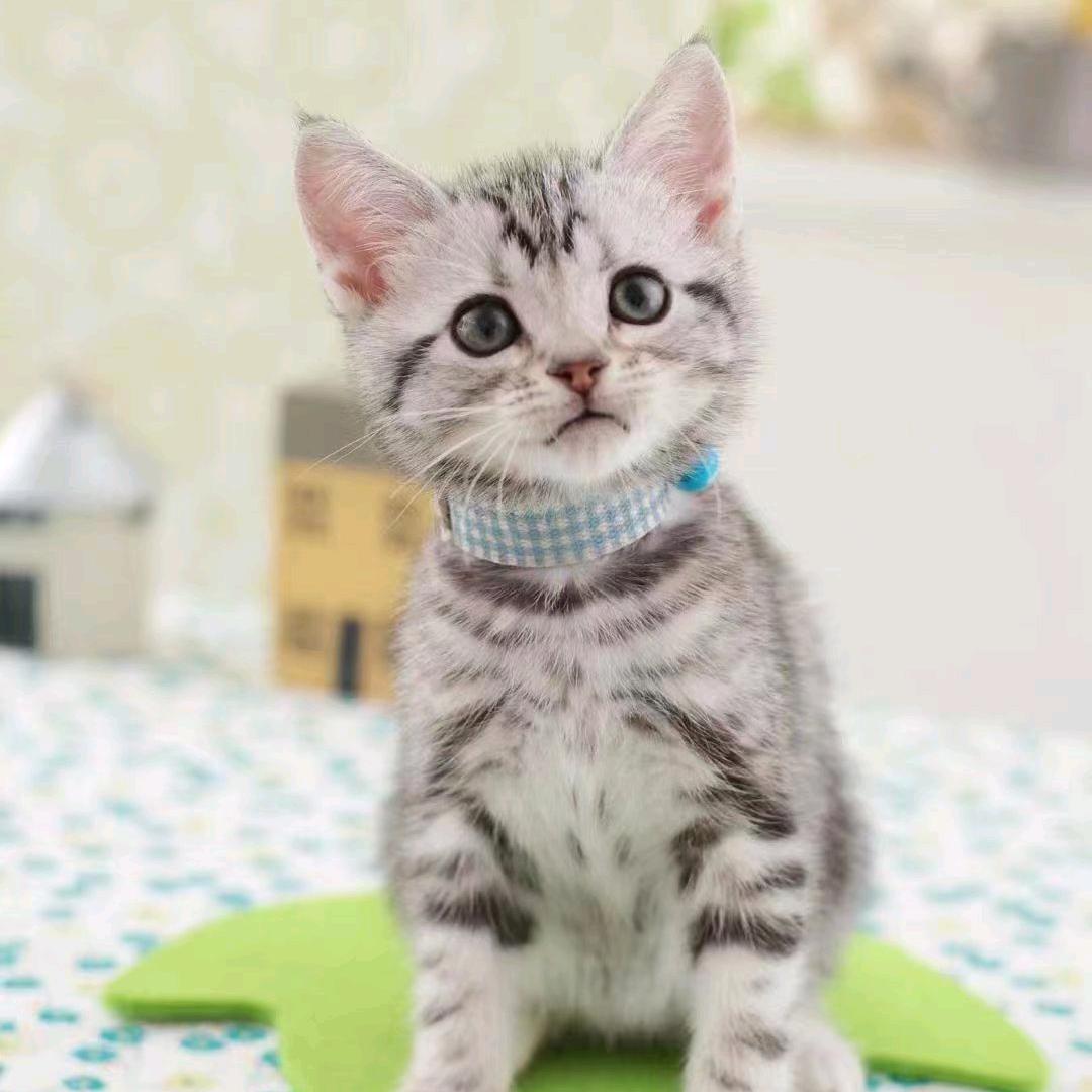 亮仔生活优港丶