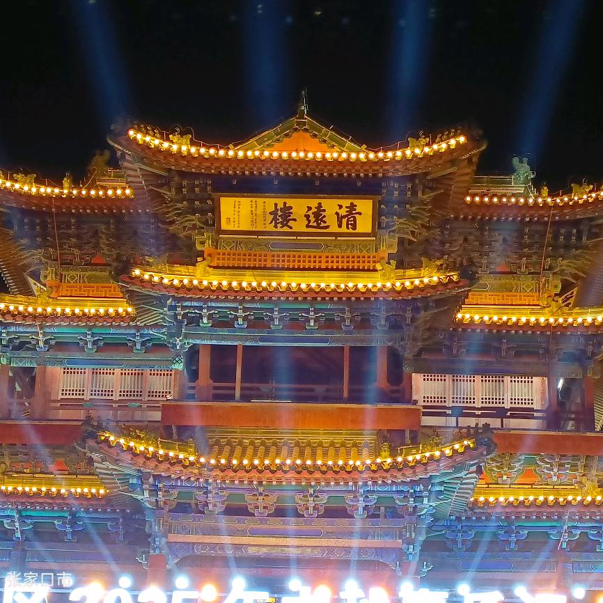 弱智大鱼