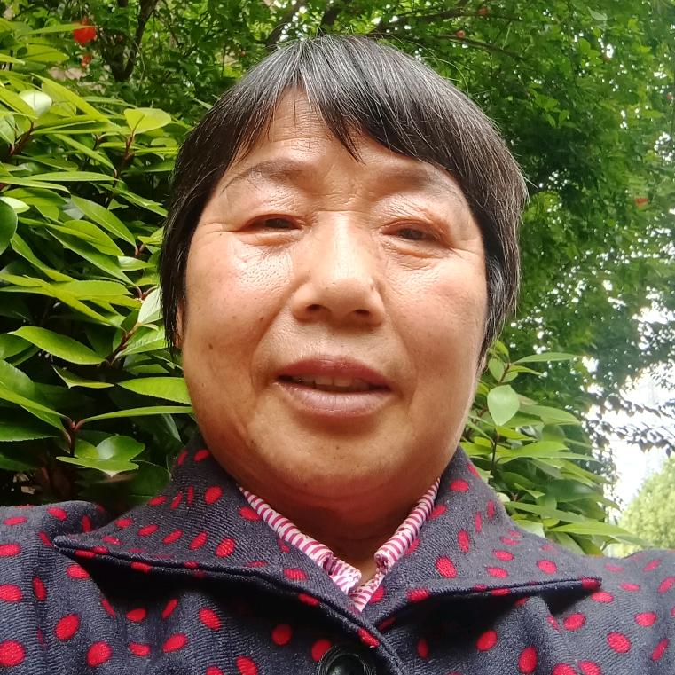 付婆婆(晚八点左右开播)