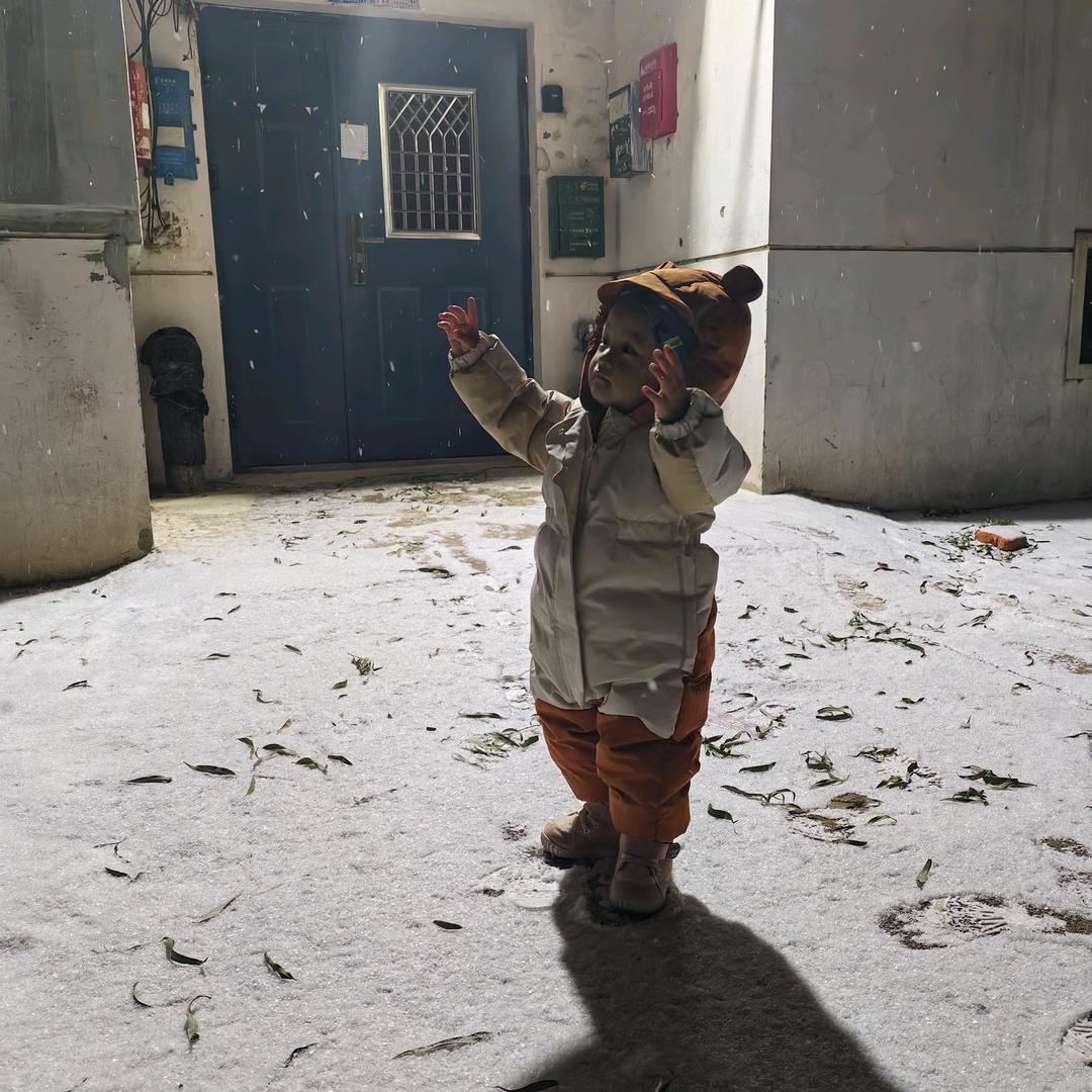 胖胖秃秃秃秃秃