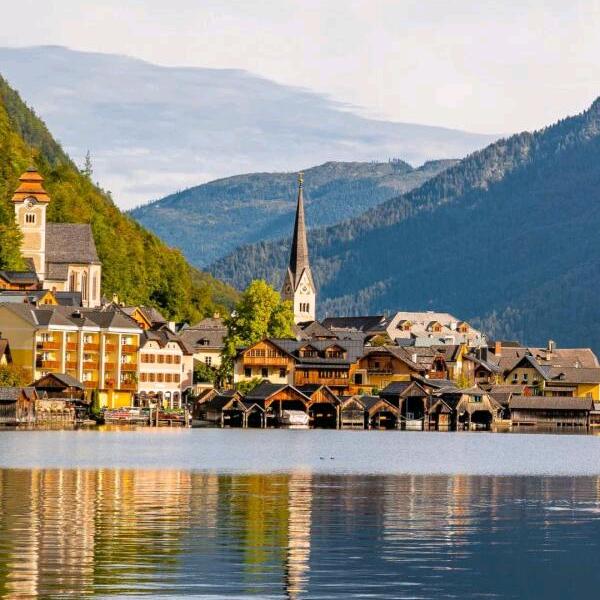 学历提升陈老师