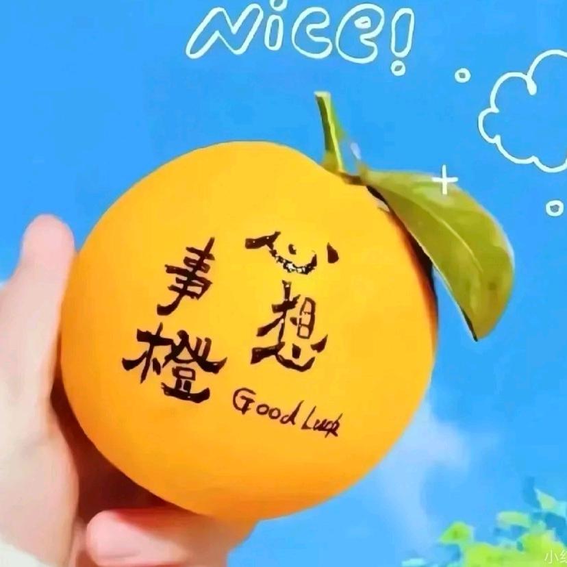 橙子的店铺🍊