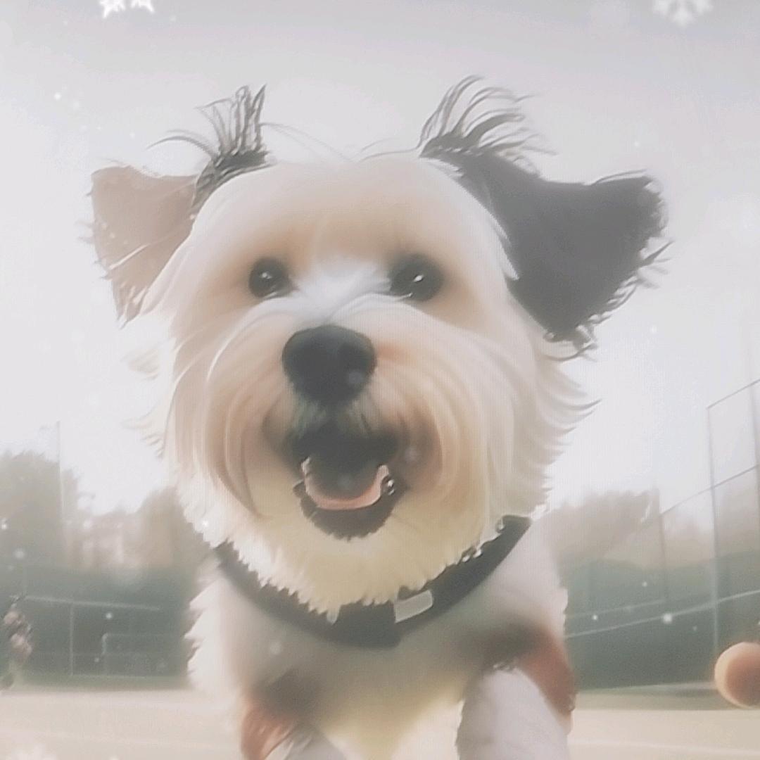 吃瓜群众