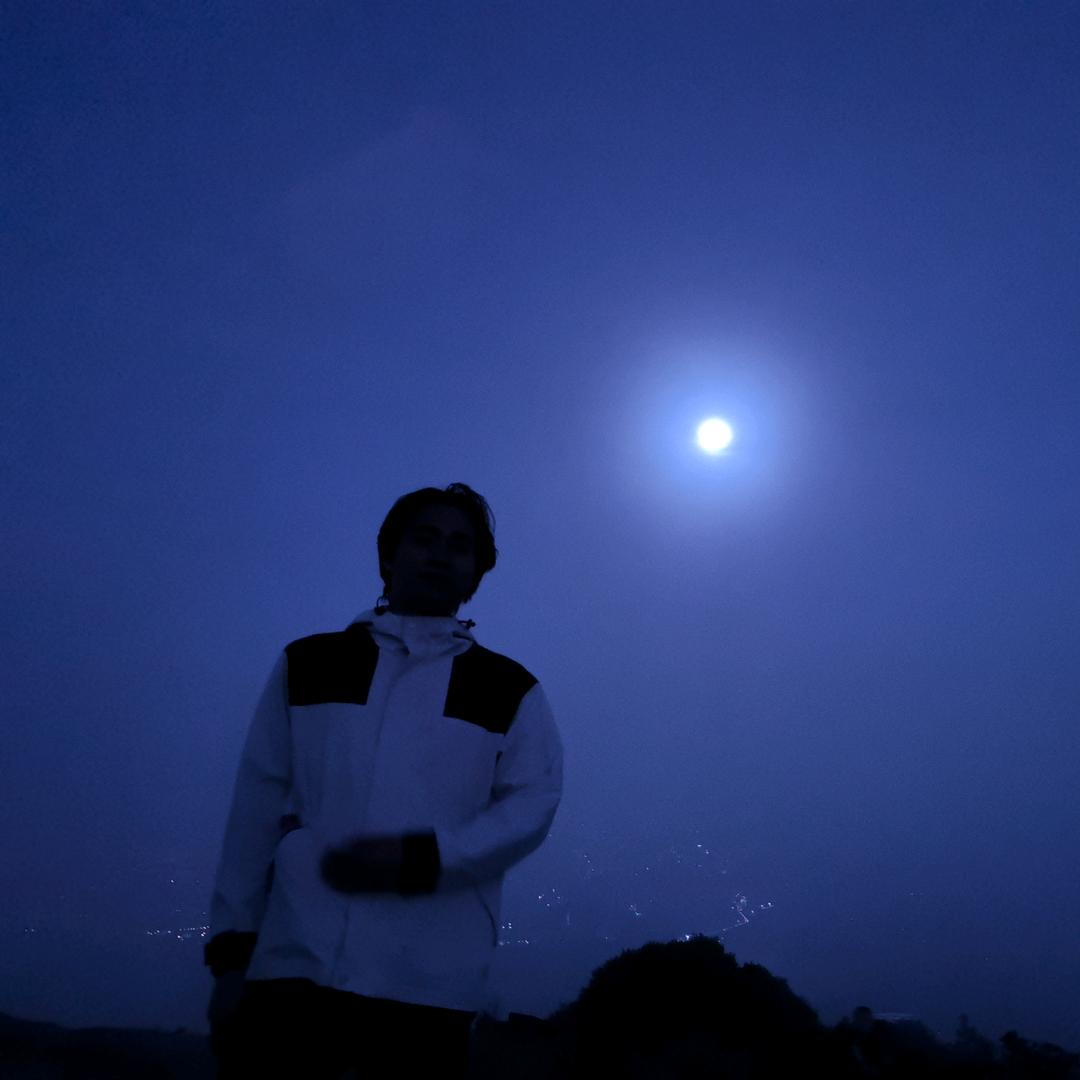 归白-自由