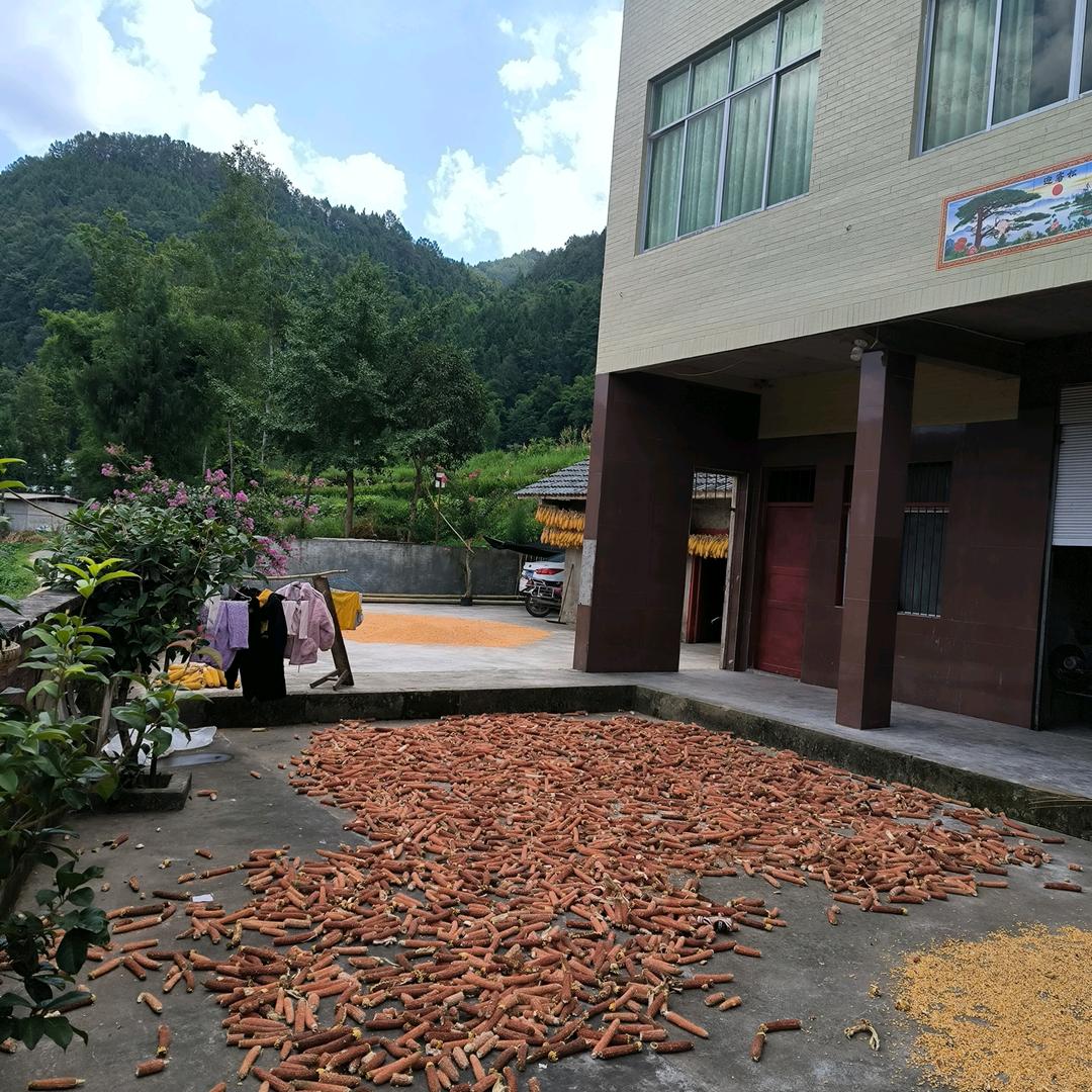 徘徊在相遇的路口