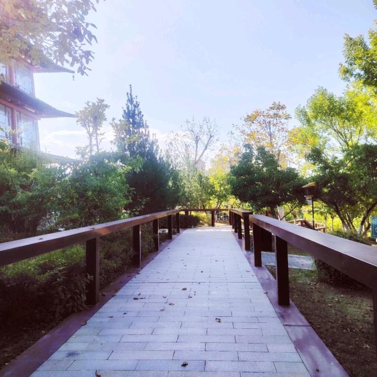 😇😇（请勿连赞）