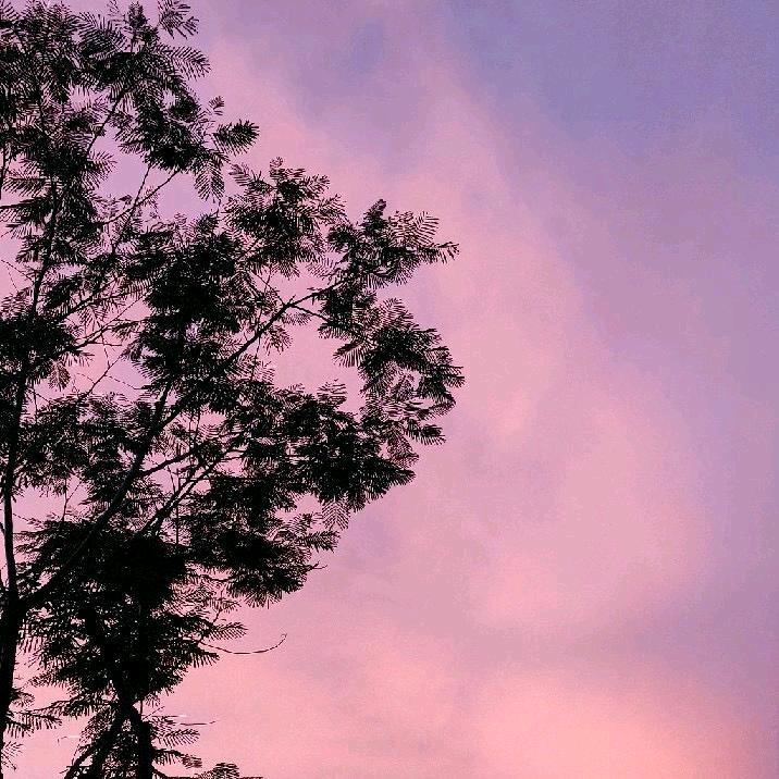 平平无奇的一个肉蛋