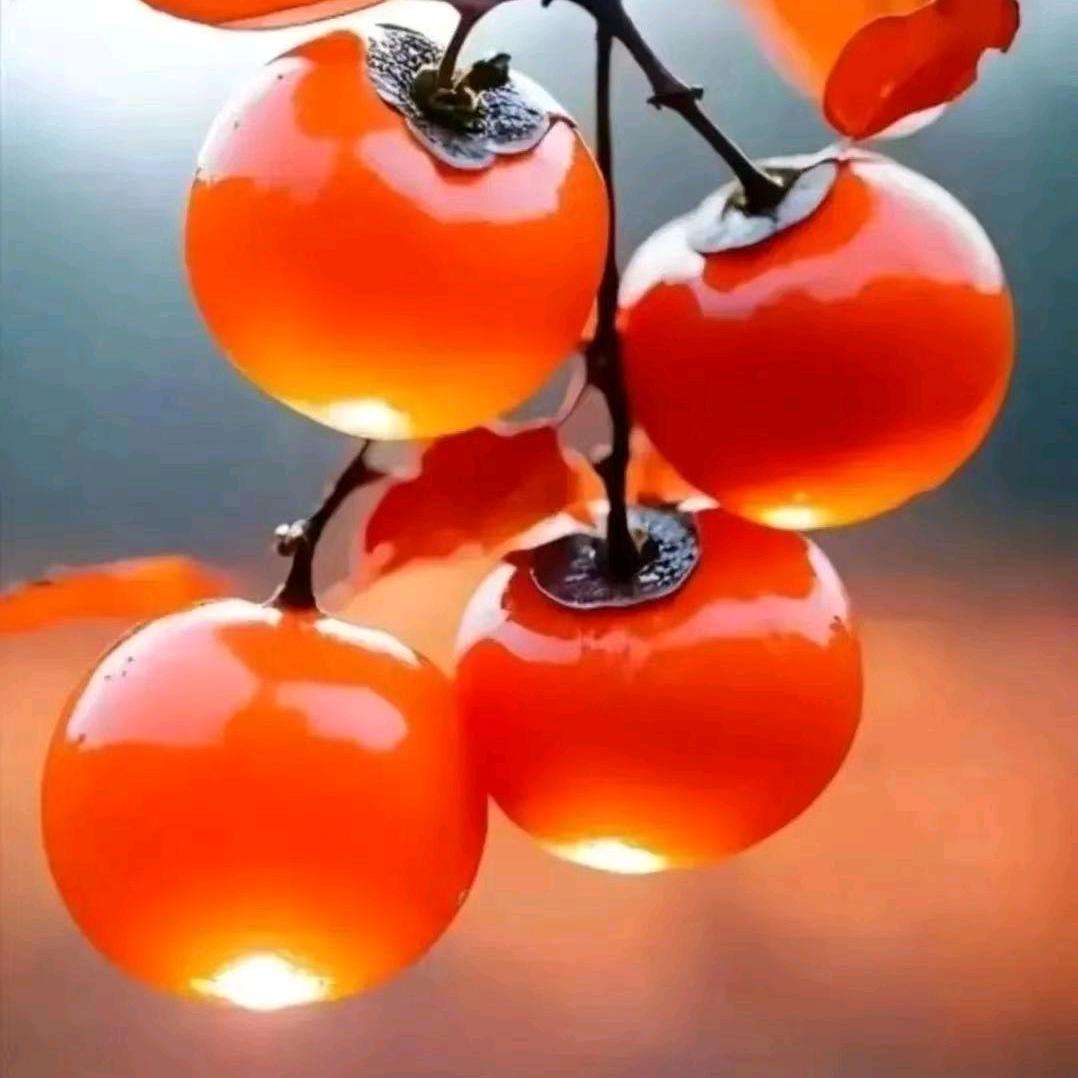 广盛参茸