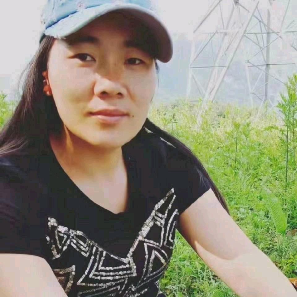 花落亦无情