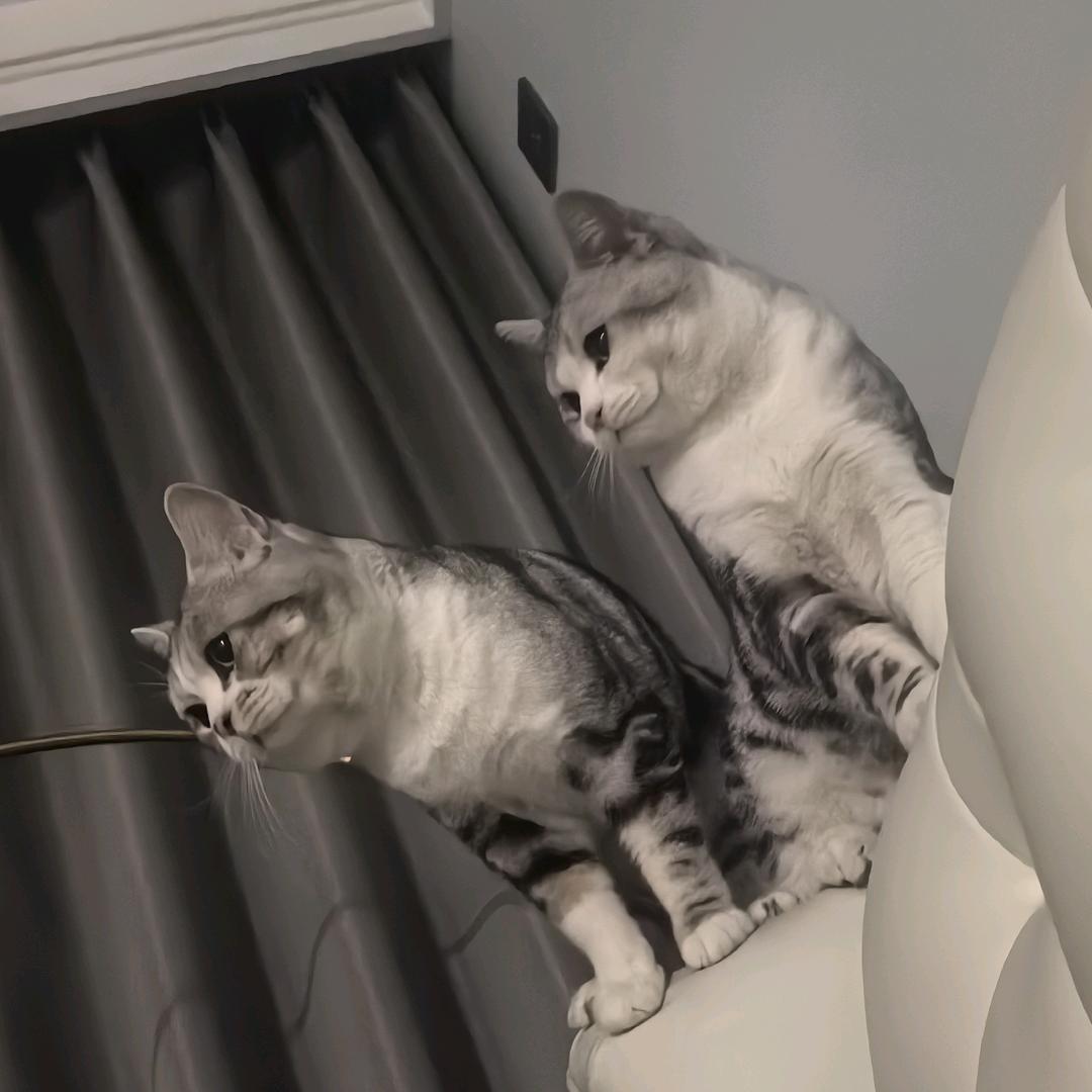 我家老二是逆子