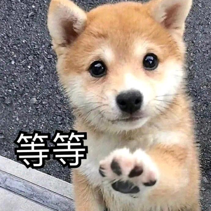 房东直租