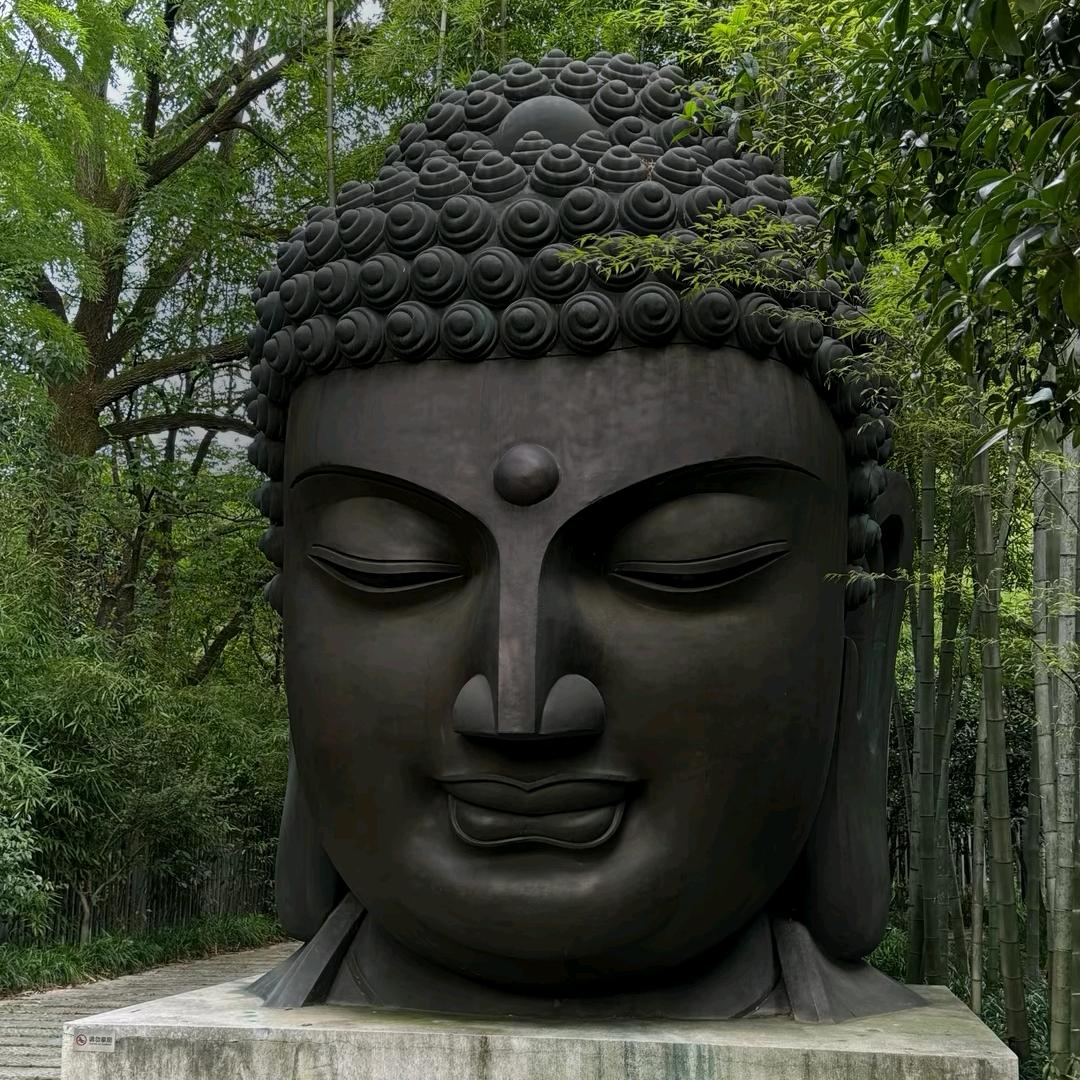 何苏叶.