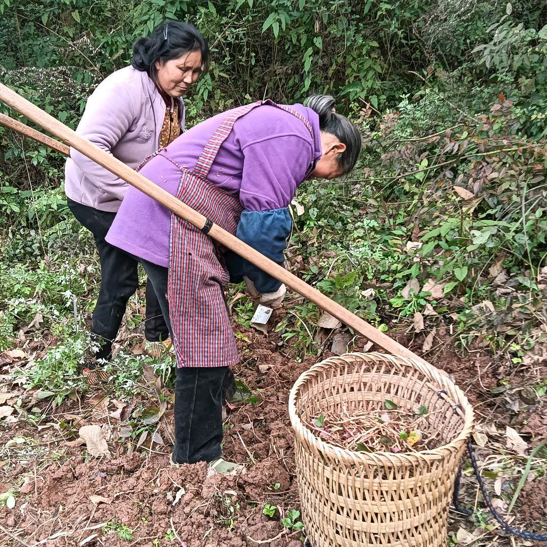 梁平区渝香源土特产店