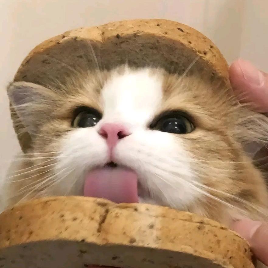 林皖.