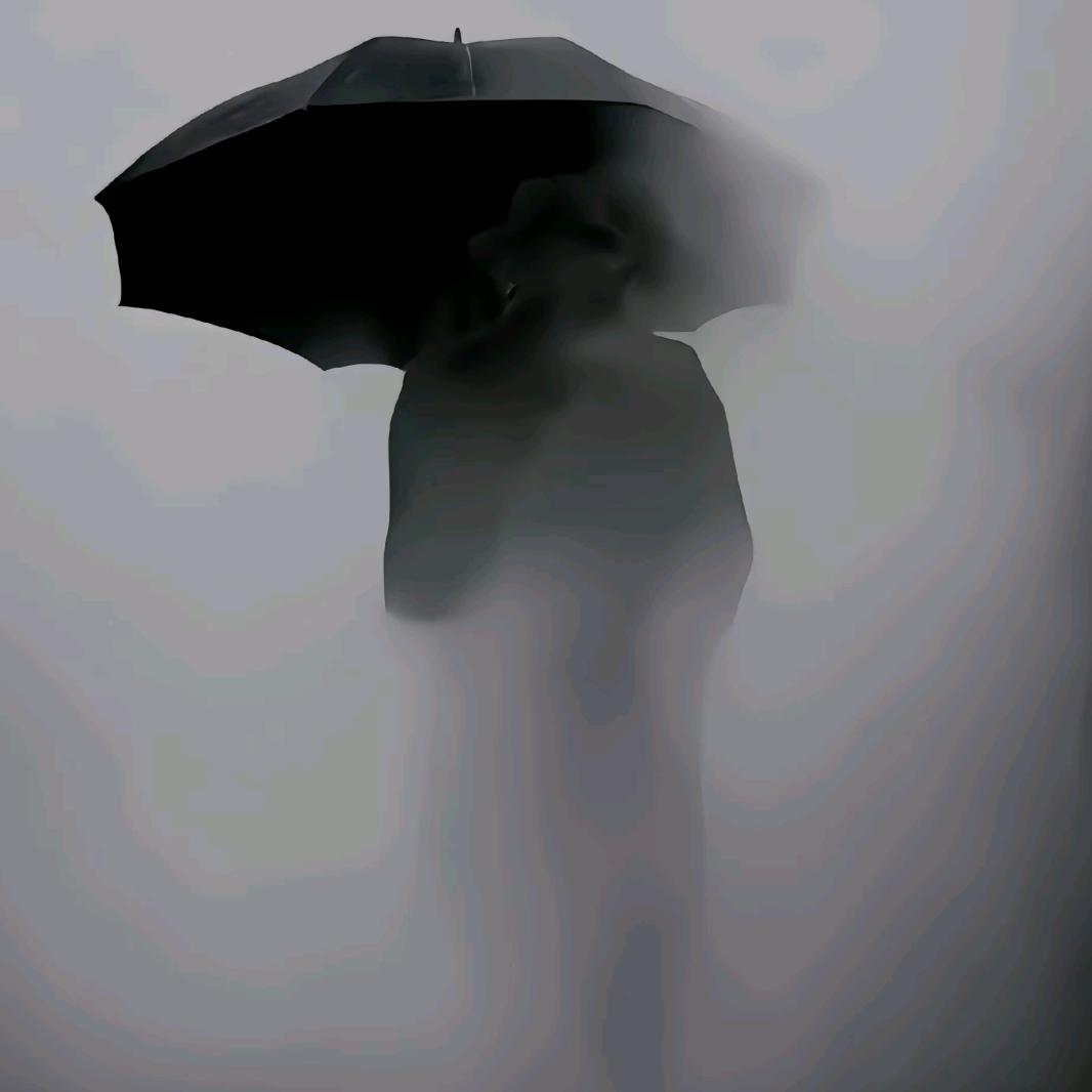 毛豆