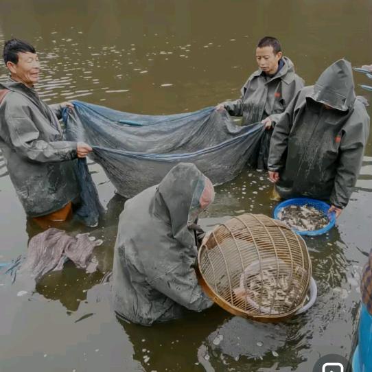 兴农鱼苗养殖场渔场