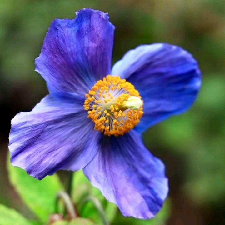 笑看人生5591186325452