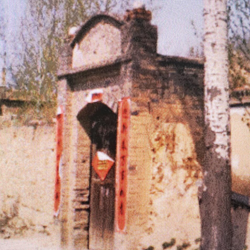 村妮子努力赚钱中