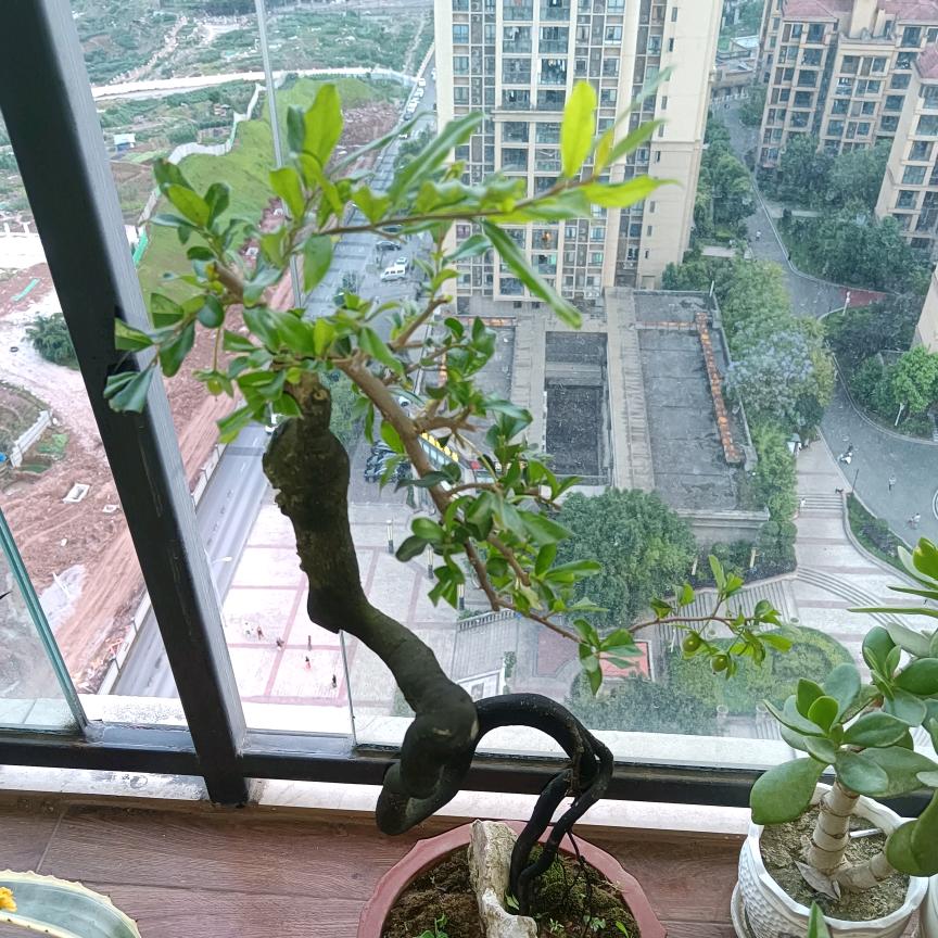 乡间户外