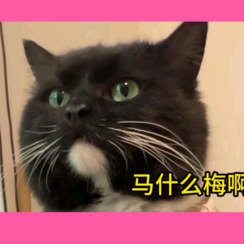 肤白貌美马冬梅头像