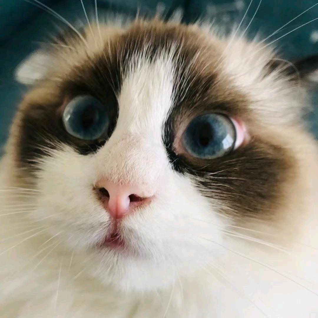 焦虑
