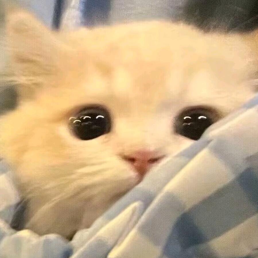 安凛（三角洲行动）