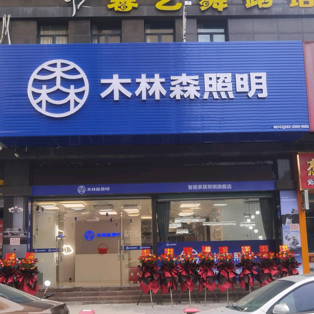 木林森照明(锦兴路店)专用号