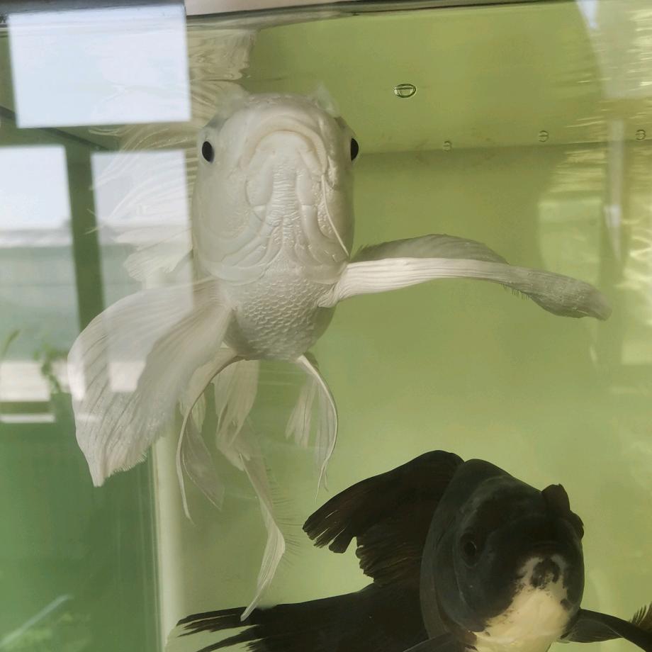 沉默