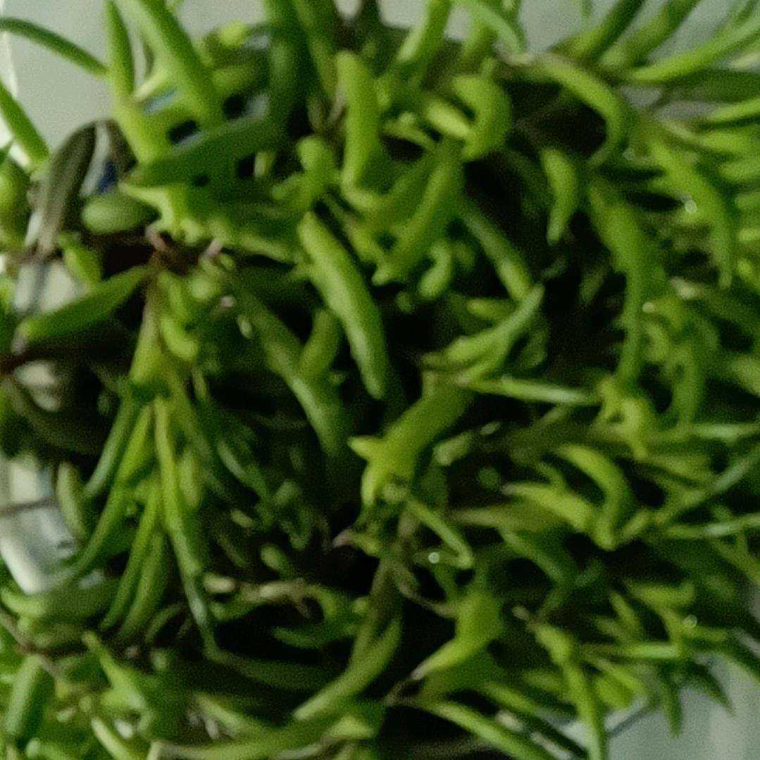 风雨无阻。
